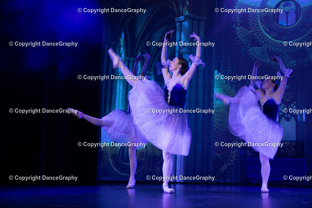 GPHY2616 | DanceGraphy - Realisiert mit Pictrs.com