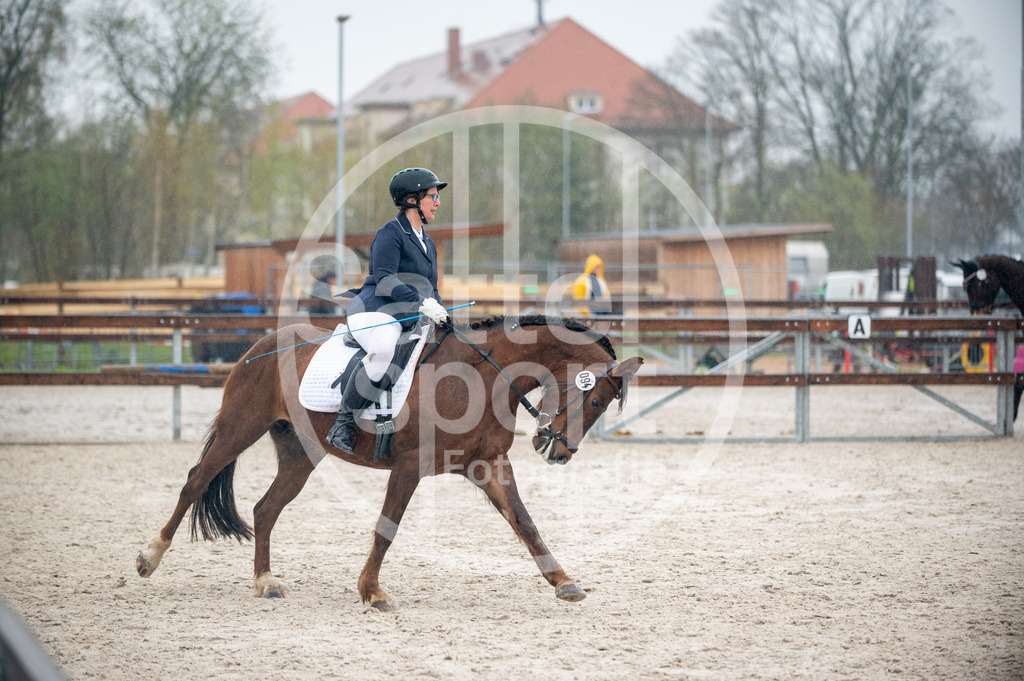 DSC_5782 | sattelsport - Realisiert mit Pictrs.com