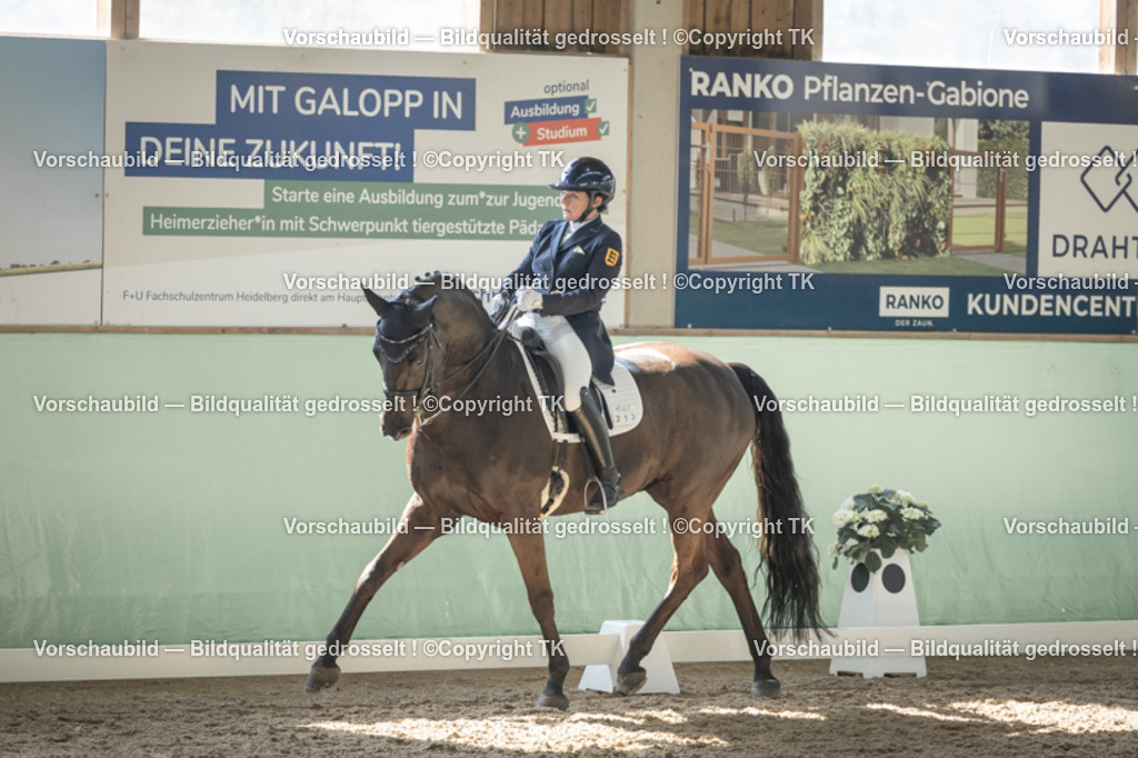 _D5A1564 | Emotionale Pferde- & People-Fotografie rund um Heidelberg, Leimen & Umgebung. Natürliche Fotos von Pferd, Mensch & Familie. Jetzt Termin sichern!