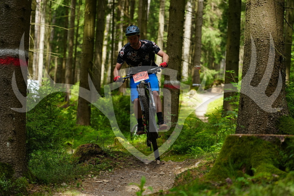 FC100483 | Fotogalerie der Treibjagd im Dunkelwald - Dein MTB Etappenrennen im Erzgebirge - Realisiert mit Pictrs.com