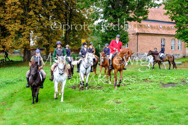 Jagd Kletkamp 26-9463_MarinaHewig | Fotografie, FotoArt, PferdesportArt, Pferdesportfotografie, Landschaftsfotografie, Reisefotografie, Reise, Pferde - Realisiert mit Pictrs.com