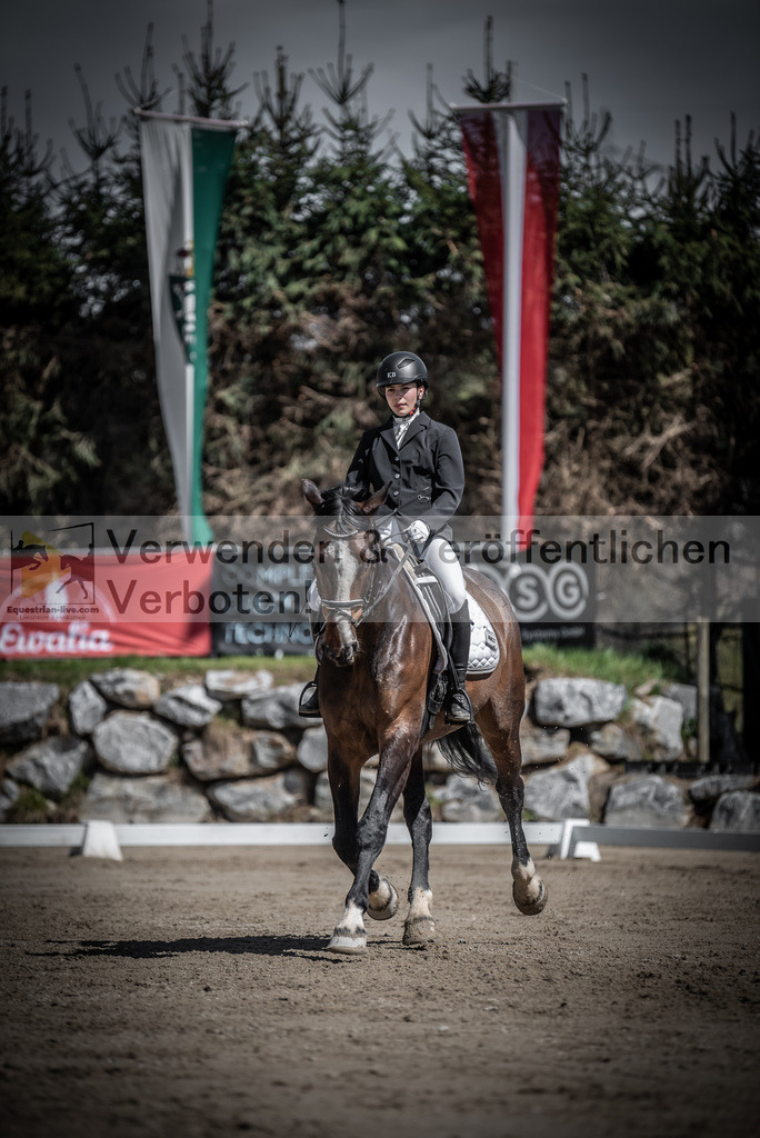 DSC_0391 | equestrian-live-com