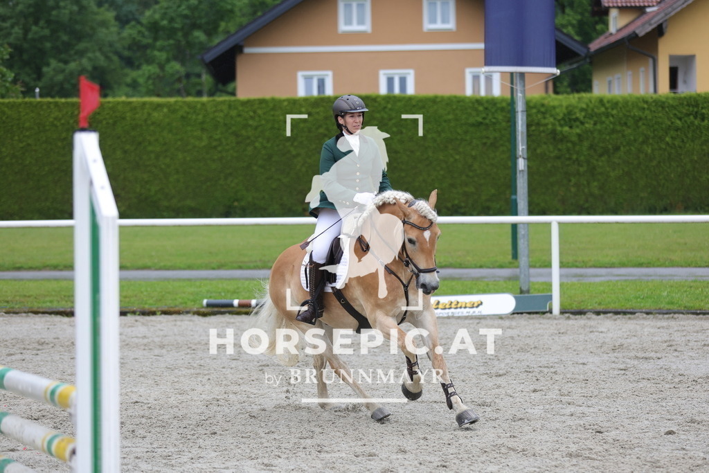 0P6A8101 | Willkommen bei Brunnmayr - Design & Fotografie – Ihrem Spezialisten für Reitturniere und Pferdeveranstaltungen in Oberösterreich, Salzburg und Bayern! Seit über 17 Jahren sind wir leidenschaftlich dabei.