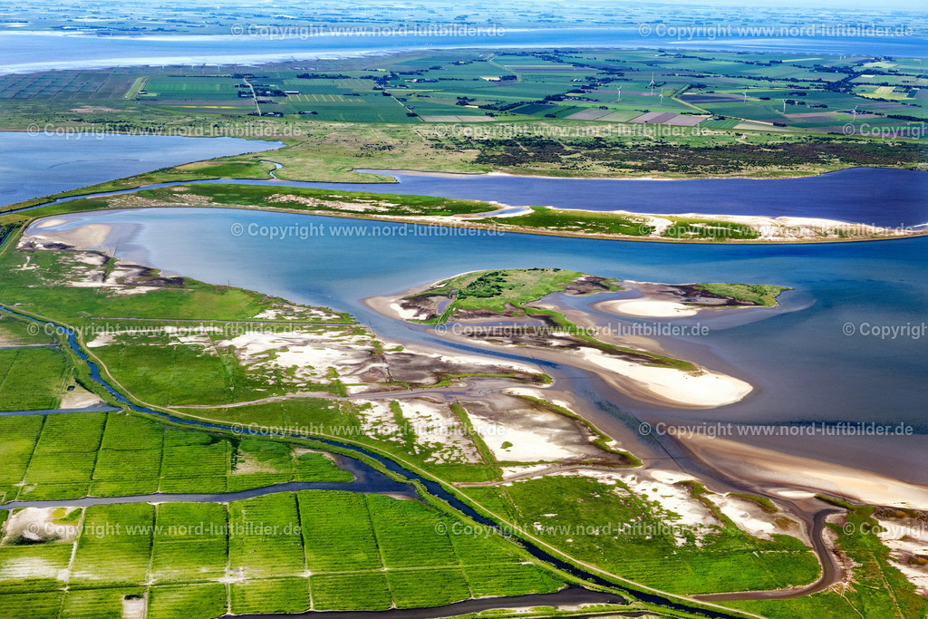 Beltringharder Koog_ELS_8325100623 | HATTSTEDTERMARSCH 10.06.2023 Küsten- Landschaft mit Deich- Schutzstreifen zwischen Beltringharder Koog und Hattstedtermarsch in Nordfriesland im Bundesland Schleswig-Holstein, Deutschland. Ferienquartier an der Arlau -Schleuse. // Coastline with dike protection strips in Hattstedtermarsch in the state Schleswig-Holstein, Germany. Foto: Martin Elsen