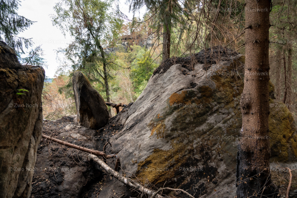 Obere_Affensteinpromenade_Nahe_Siegfried_Bergfried_Felsblock_Moos | 2022-09-02_Waldbrandgebiete_2 - Realisiert mit Pictrs.com