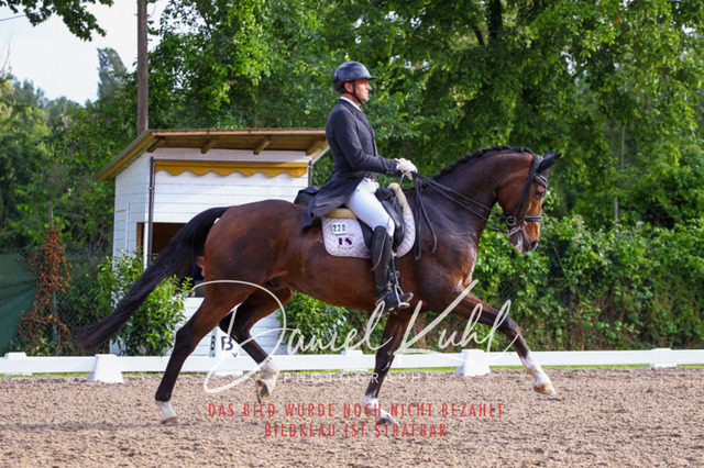 DKP41787 | Deine Turnierfotos vom Reitturnier online kaufen: Dressur, Springen & Siegerehrung. Professionelle Pferdefotografie aus dem Rheinland – als Download & Print.Alternative: Turnierfotograf für den Pferdesport: Finde deine Fotos von Dressur- und Springturnier