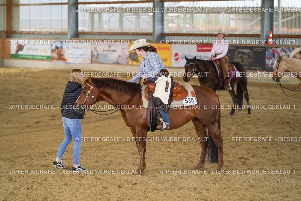 DSC09395 | Pferdegrafie