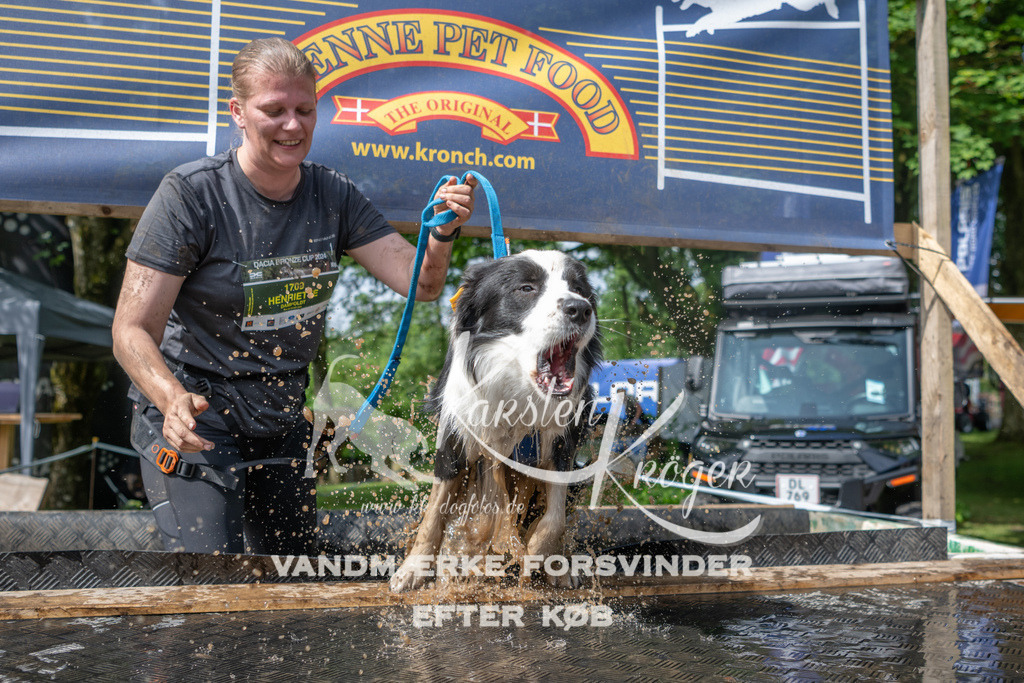 1003_ZZ93813 | kk-dogfotos