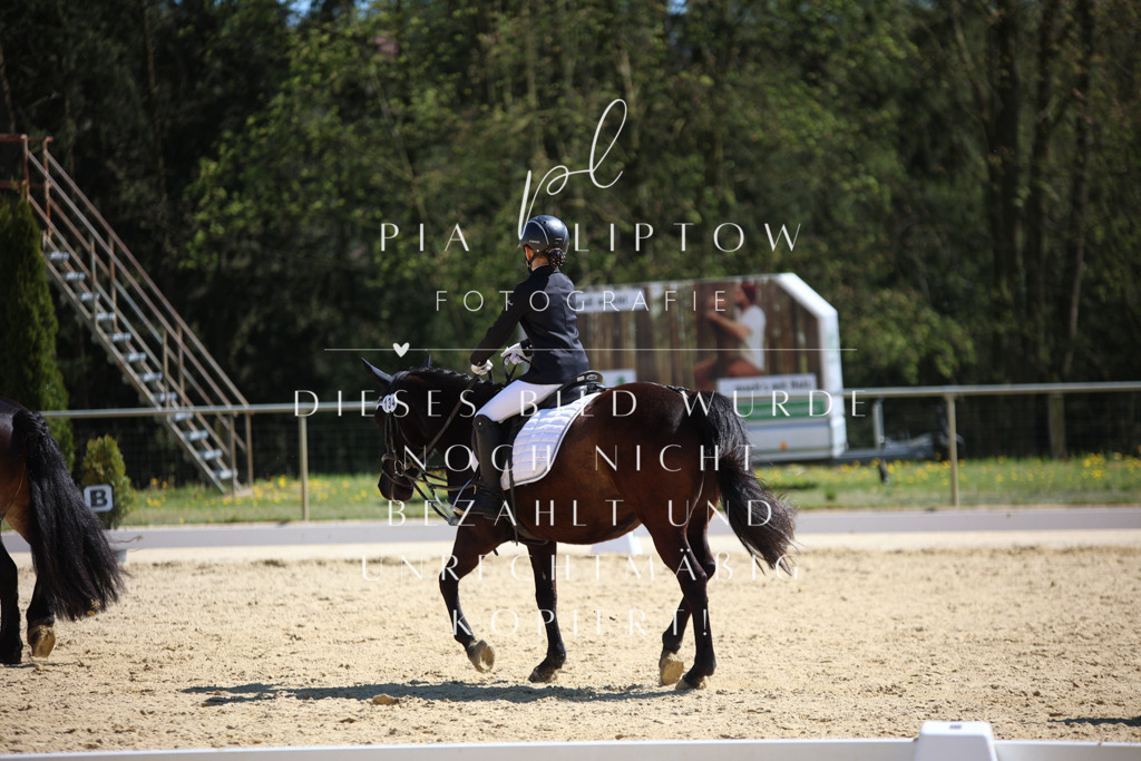 IMGT1309 | pl-fotografie