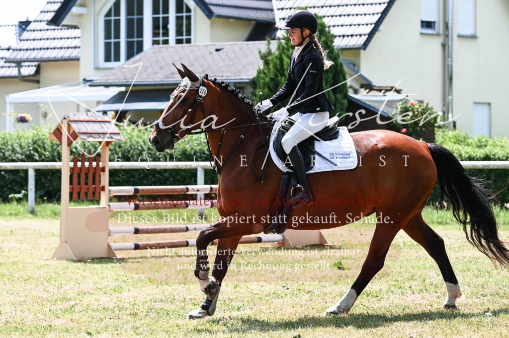 DSC_9561 | Pferde- und Turnierfotografie in Westsachsen. Pferdeportraits, Auftragszeichnungen und intuitive Kunst.