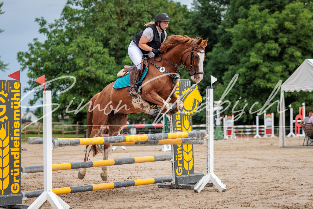 20260531-_3LI3362 | Tierfotografie Pferde, Hunde, Katzen, Haustiere.
Turnierfotografie Reitturniere, Reiten, Springreiten, Dressur in Hanau, dem Main-Kinzig-Kreis und dem Rhein-Main- Gebiet um Frankfurt