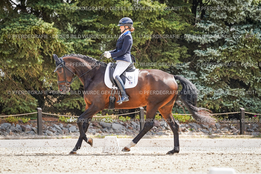 DSC09181 | Pferdegrafie