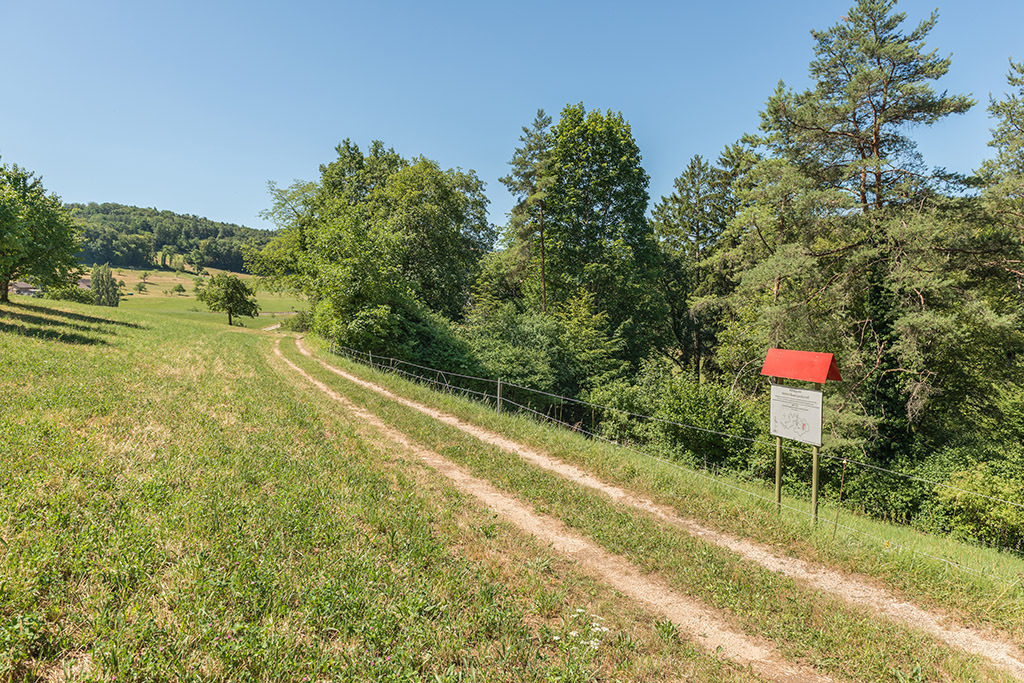 Mittelpunkt Kanton Baselland | in Lupsingen, Baselland, Schweiz - Realisiert mit Pictrs.com