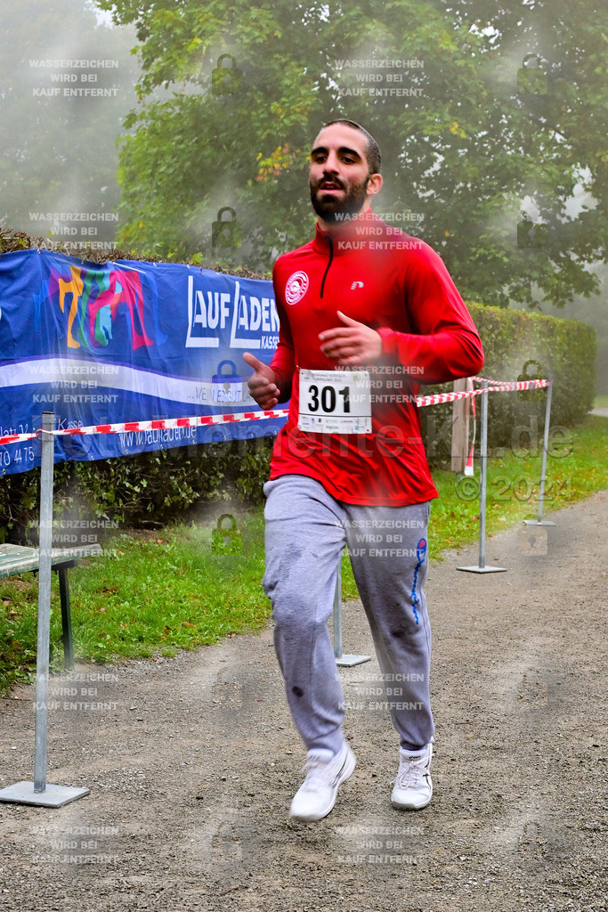 Z8N_2143 | la-psv - Realisiert mit Pictrs.com