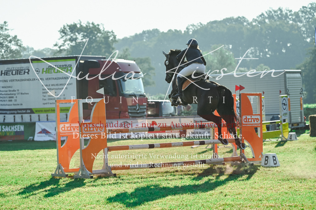 DSC_4444 | Pferde- und Turnierfotografie in Westsachsen. Pferdeportraits, Auftragszeichnungen und intuitive Kunst.