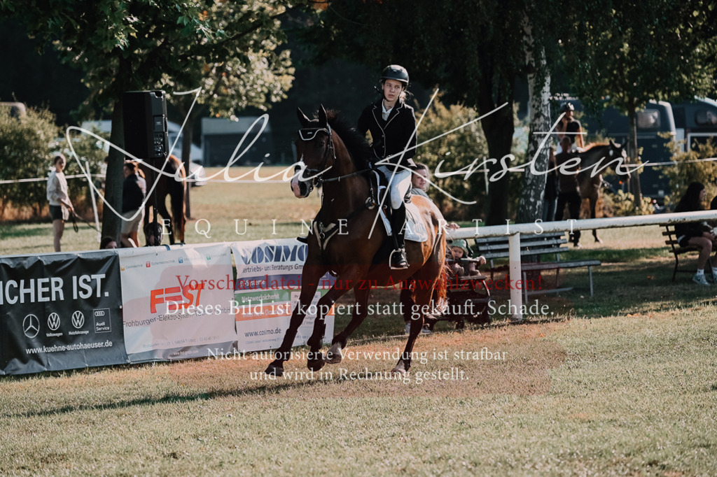 DSC_4538 | Pferde- und Turnierfotografie in Westsachsen. Pferdeportraits, Auftragszeichnungen und intuitive Kunst.