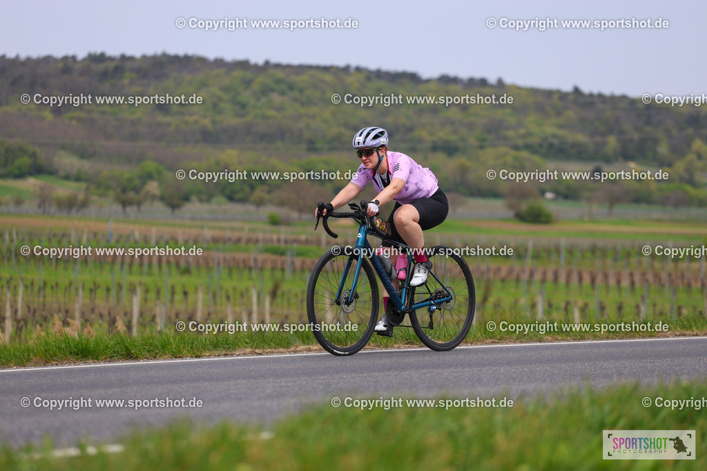 IMG_3108 | @sportshot_your_pictrs #yourpictures#roadtowm2029 #nrm #neusiedlerseeradmarathon #neusiedlersee #neusiedlerseetourismus #burgenland #mörbisch #nrm26 #burgenlandtourismus #voglundco #poweredbyburgenlandtourismus #radsport #rad #marathon #ucigranfondo #visitburgenland #ucigranfondoworldseries