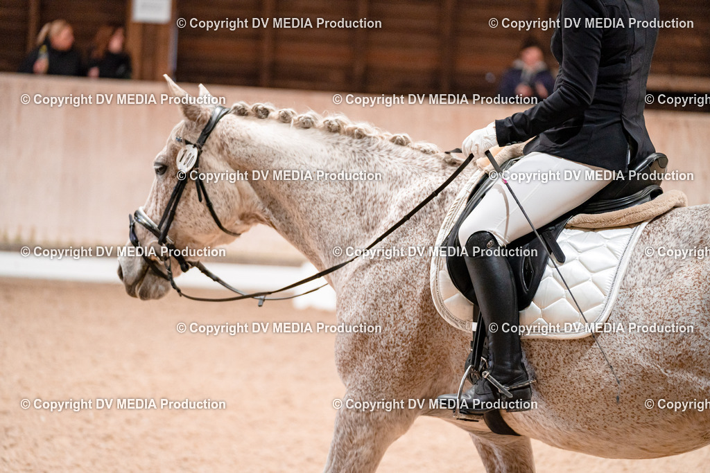 Dressur Tag 3-216 | dv-media-shop - Realisiert mit Pictrs.com