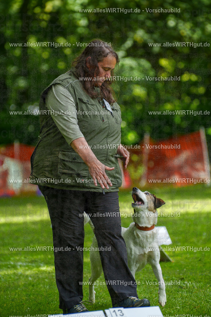 @allesWIRTHgut_Tierfotografie - www.allesWIRTHgut.de - 7R504362 | Professionelle Tierfotografie in Mönchengladbach von Daniel Wirth (allesWIRTHgut). Liebevolle & natürliche Bilder von Hunden & Katzen für unvergessliche Erinnerungen.