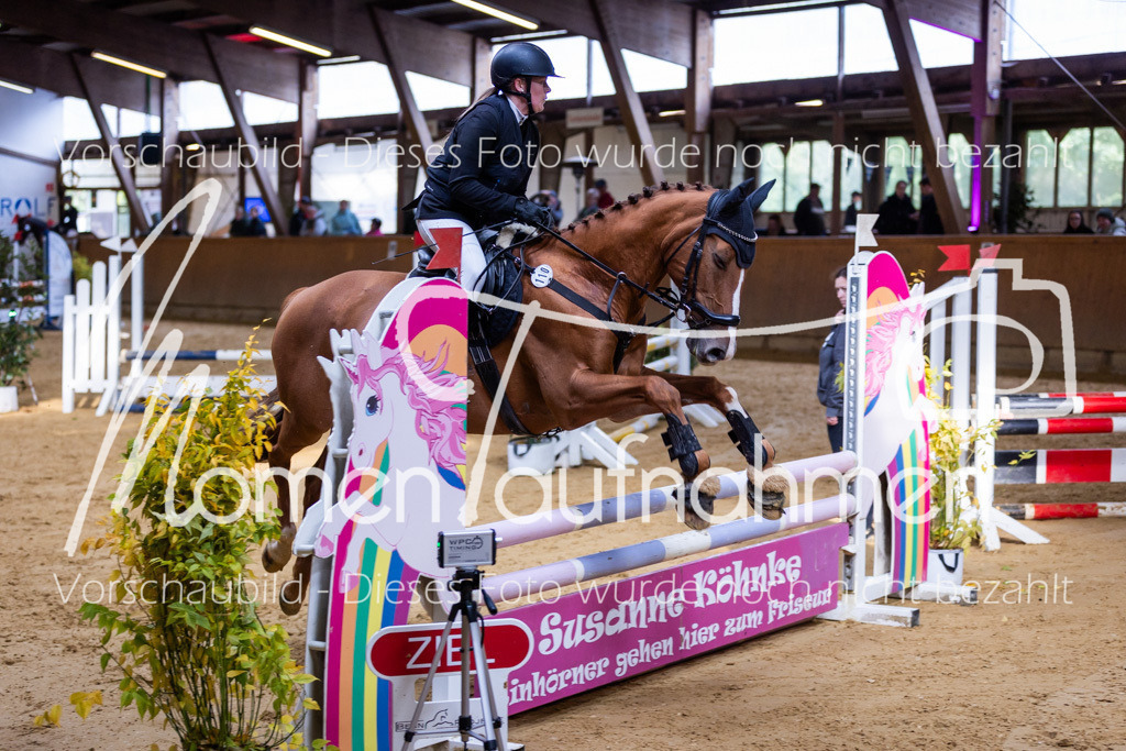 Sth-A-Springen-059 | MomenTaufnahmen Pferdesportfotos