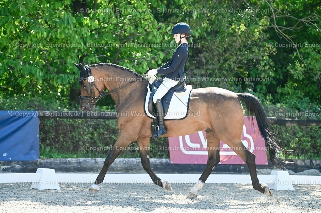 20230908_06_Dressur-L-Trense_0288 | equistock