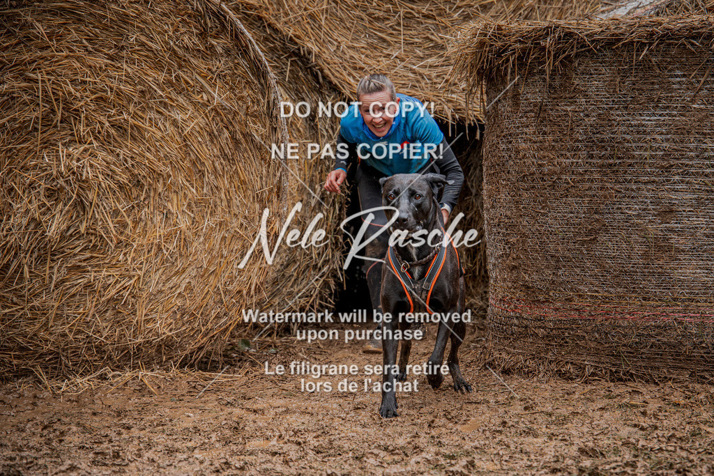 nelerasche_Hunsrück_So12-13_239 | nelerasche