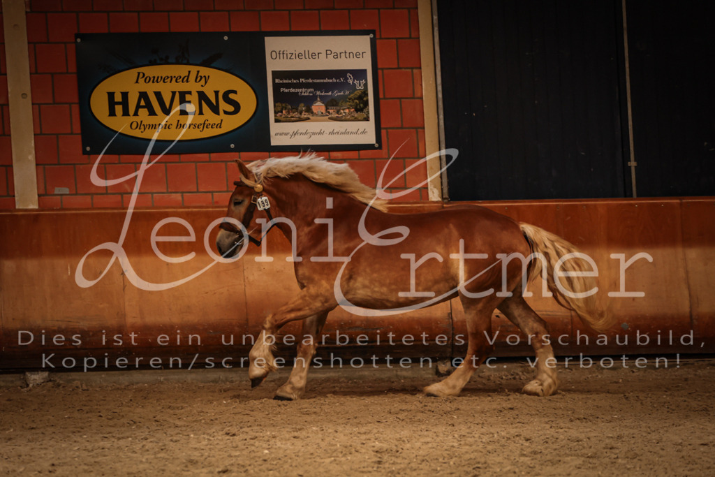 SaFL00417 | Leoni Ertmer Photography - Realisiert mit Pictrs.com