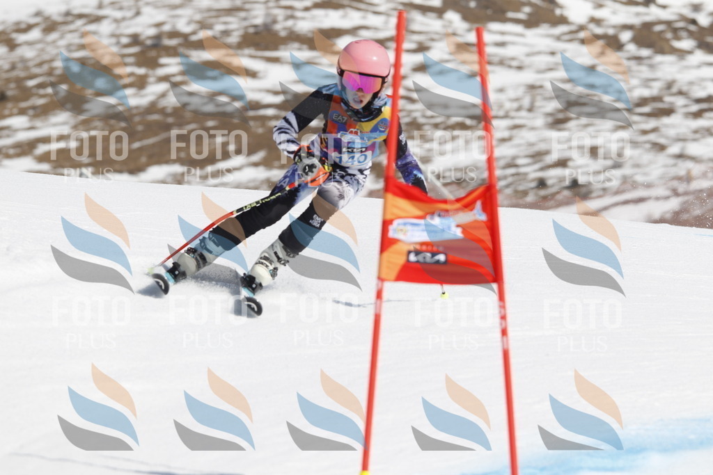 _U3G1033 | holidayphoto