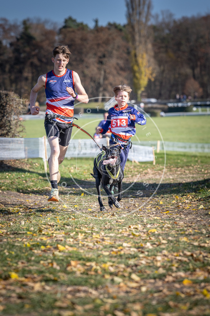 CaniXpix_DV3A7970 | Hundefotografie, Tierfotograf, Pfotenfotografie, Fotoshooting Hund, Hunde Portrait, Hundesport, Hundeportraits, Heideshooting, Hunde, Sportfotograf, Hundefotograf, Turnierhundsport, THS,  - Realisiert mit Pictrs.com