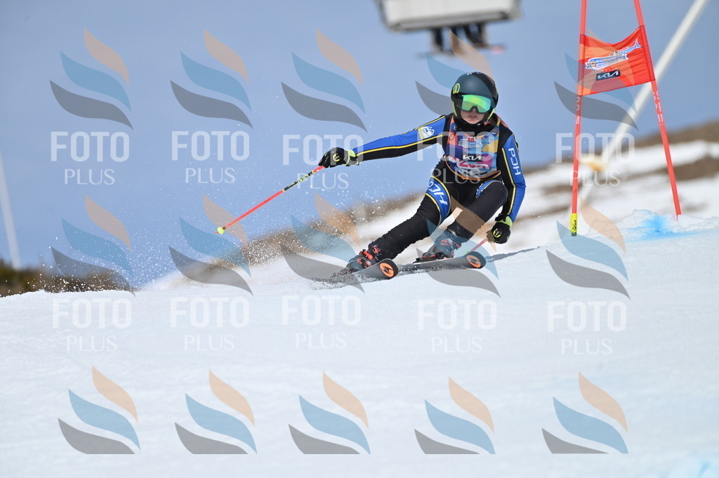 BGV_1871 | holidayphoto