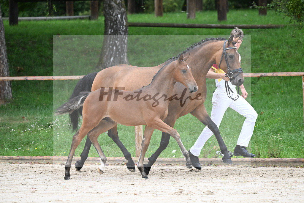 Kat-Nr. 8 HF Cellestial_Joas_25230081 | hf-fotografie - Realizzato con Pictrs.com