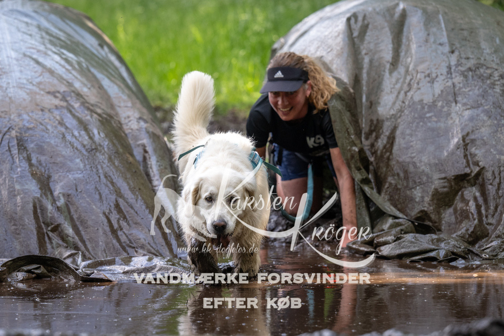 1306_ZZ90110 | kk-dogfotos