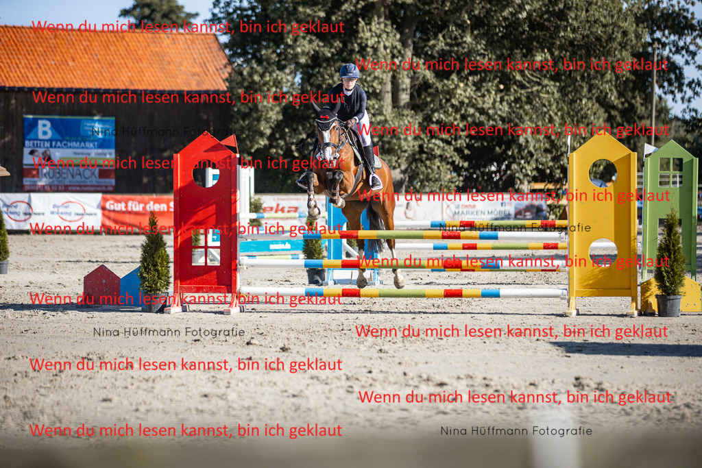 BK1A7495 | Turnierbilder Turnierfotos Nina Hüffmann Turnierfotografie Pferdefotografie Tierzeichnung Haustierzeichnung Pferdezeichnung Hundezeichnung Videograf  - Realisiert mit Pictrs.com