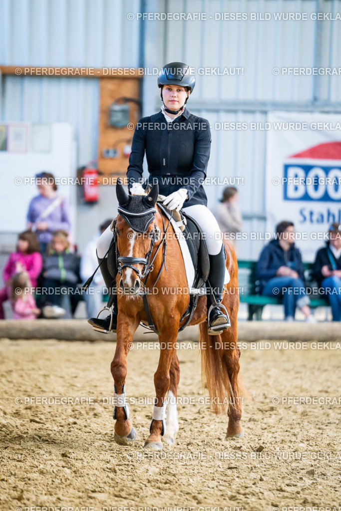 DSC02080 | Pferdegrafie