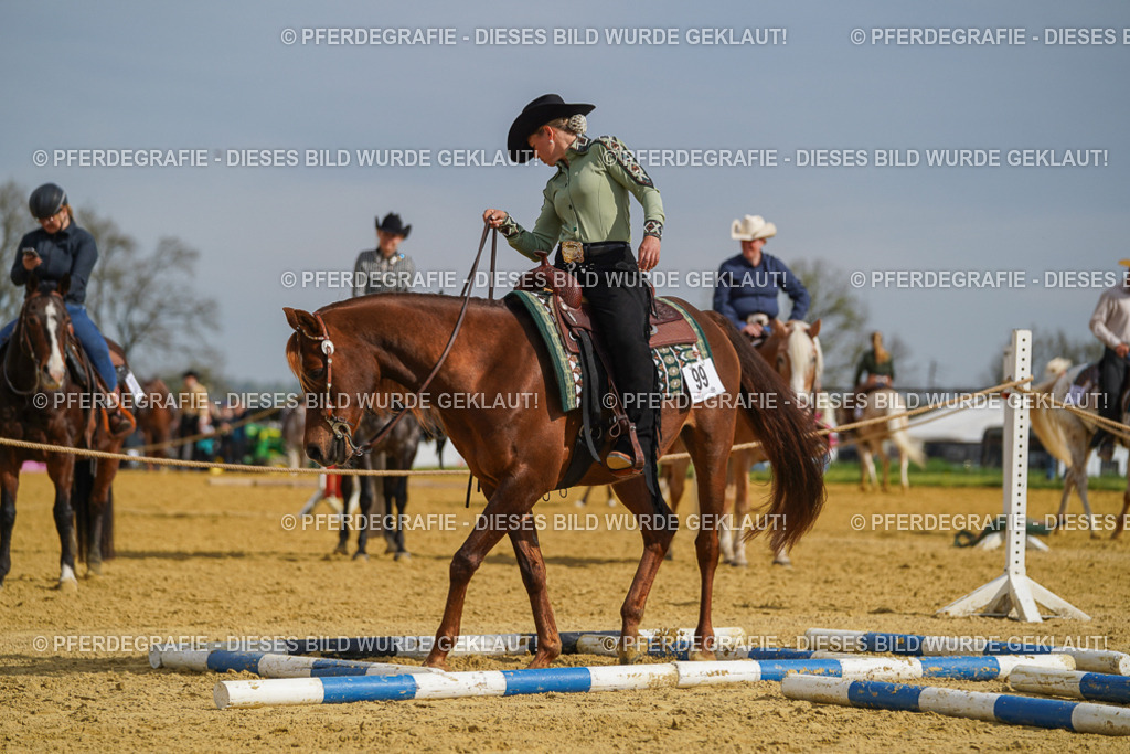 DSC01786 | Pferdegrafie