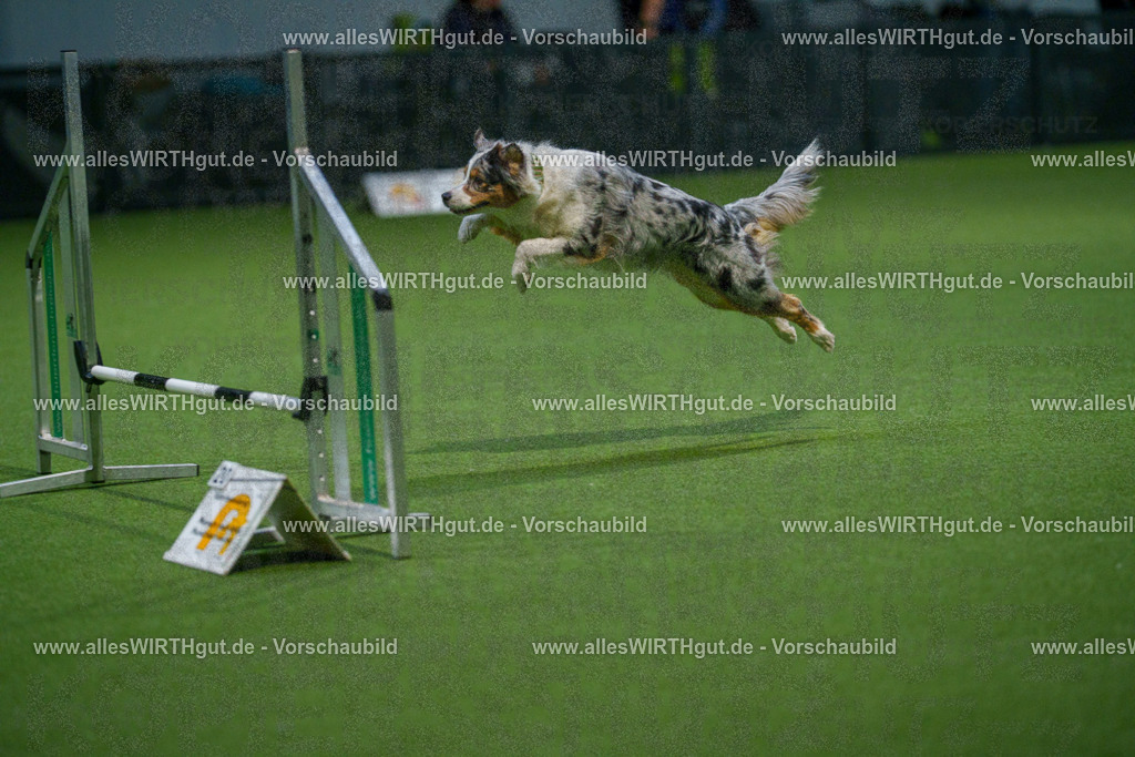 7R509558 | Professionelle Tierfotografie in Mönchengladbach von Daniel Wirth (allesWIRTHgut). Liebevolle & natürliche Bilder von Hunden & Katzen für unvergessliche Erinnerungen.