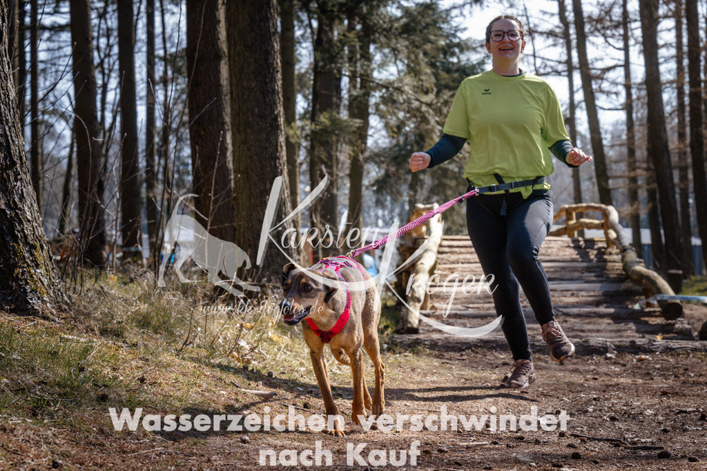 1333_ZZ95607 | kk-dogfotos