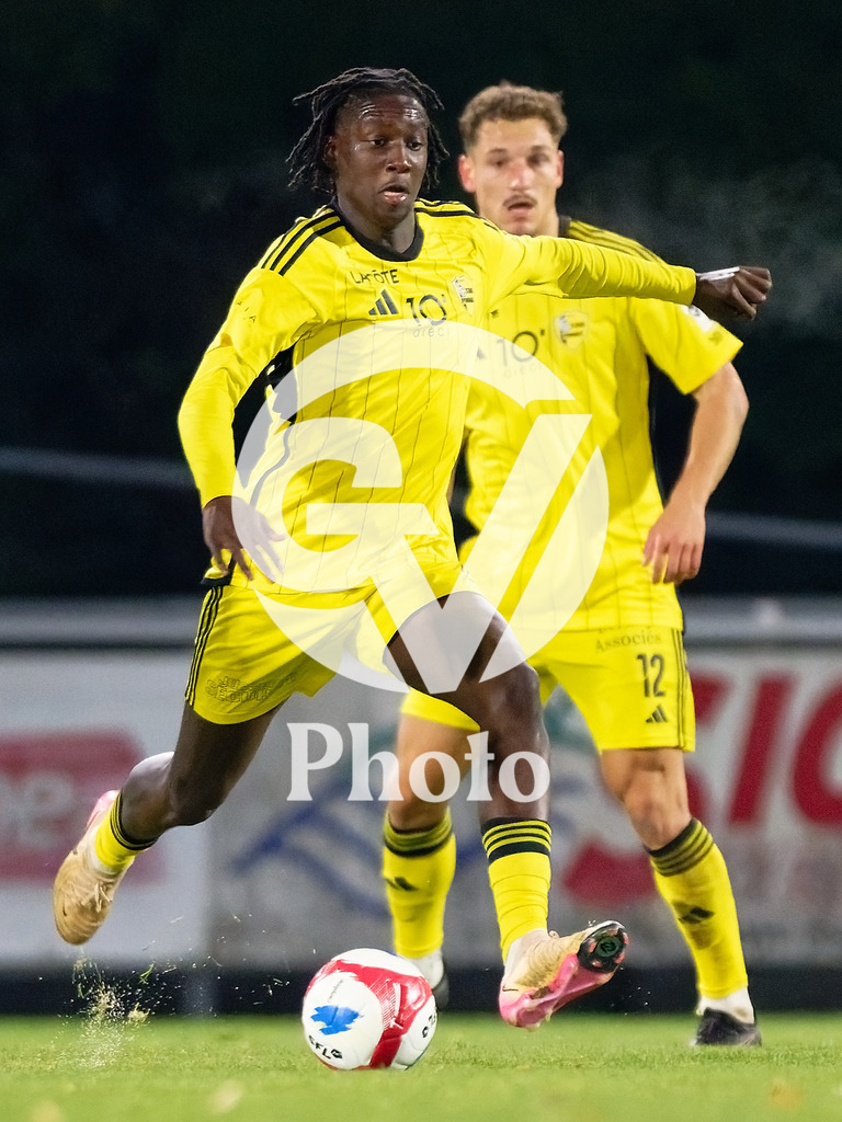 dieci Challenge League - FC Stade Nyonnais v FC Vaduz |  during the dieci Challenge League match between FC Stade Nyonnais and FC Vaduz at Centre sportif de Colovray in Nyon, Switzerland