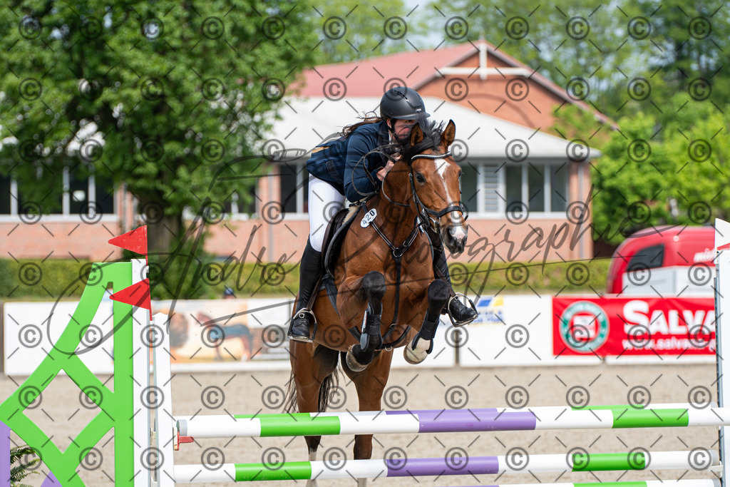 KPT_2576 | andre_photographic