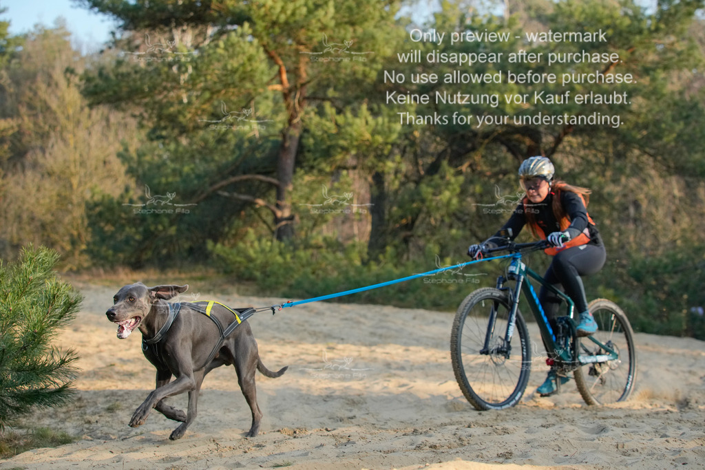 So_Bike-493 | stephaniefillaphotographie - Realisiert mit Pictrs.com