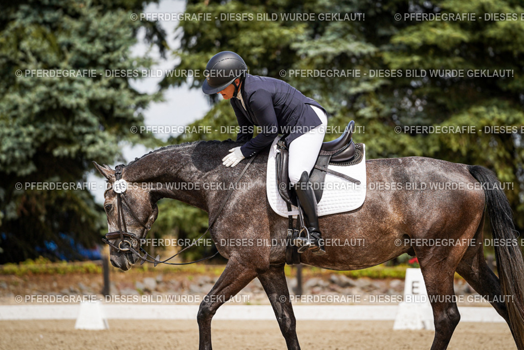 DSC03487 | Pferdegrafie