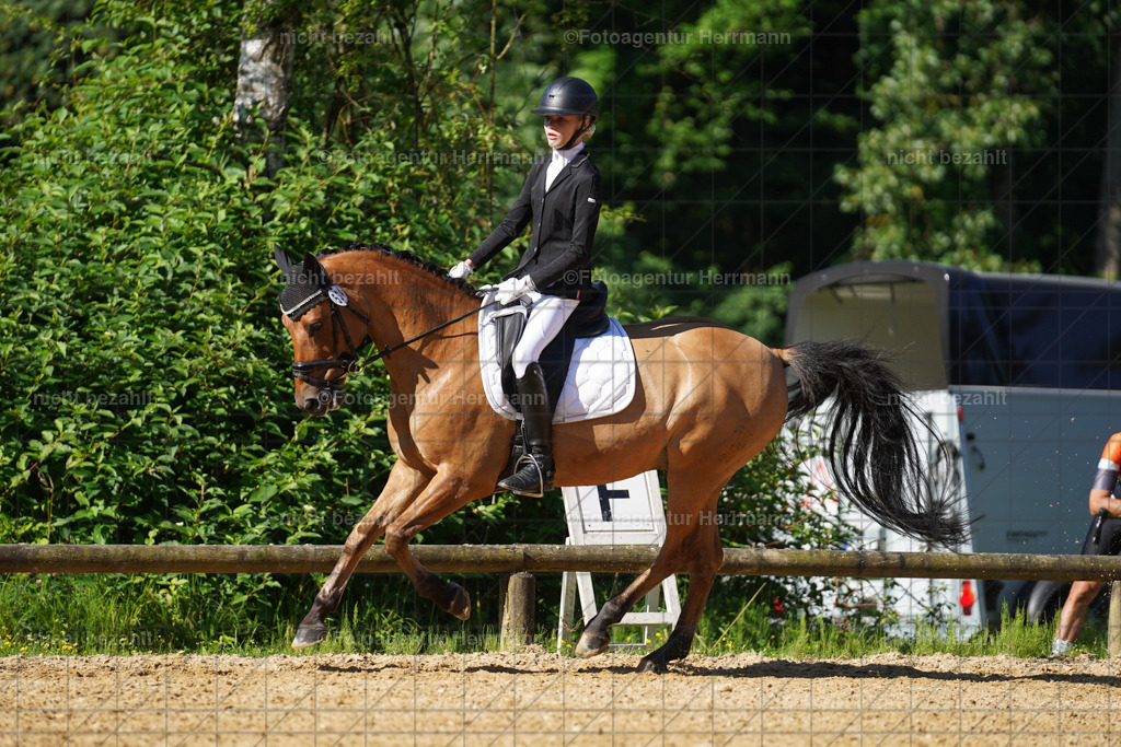 20240706-FAH04535 | Grafing Turnierfotos, Reitverein Ebersberg, Turnierfotografen Bayern, reitsportbilder, Pferdefotograf, reitsportfotograf, Sportbilder, Reitsportfotografie, Fotoagentur Herrmann, Turnierfotograf