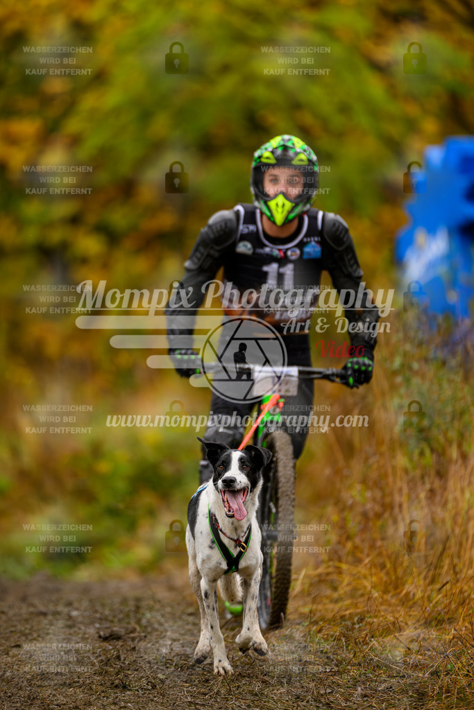 MompixPhotography_ICF_WC_2024_SA_DS_-25 | PayLife
