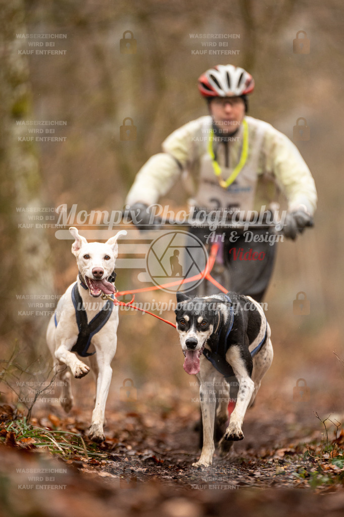 Reiat2023_SON_DS2_5km_2H-25 | PayLife