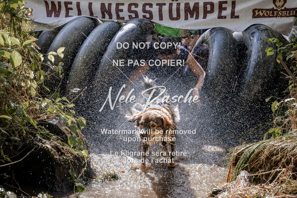 nelerasche_Hunsrück2026_Sa1400-1500_20 | nelerasche