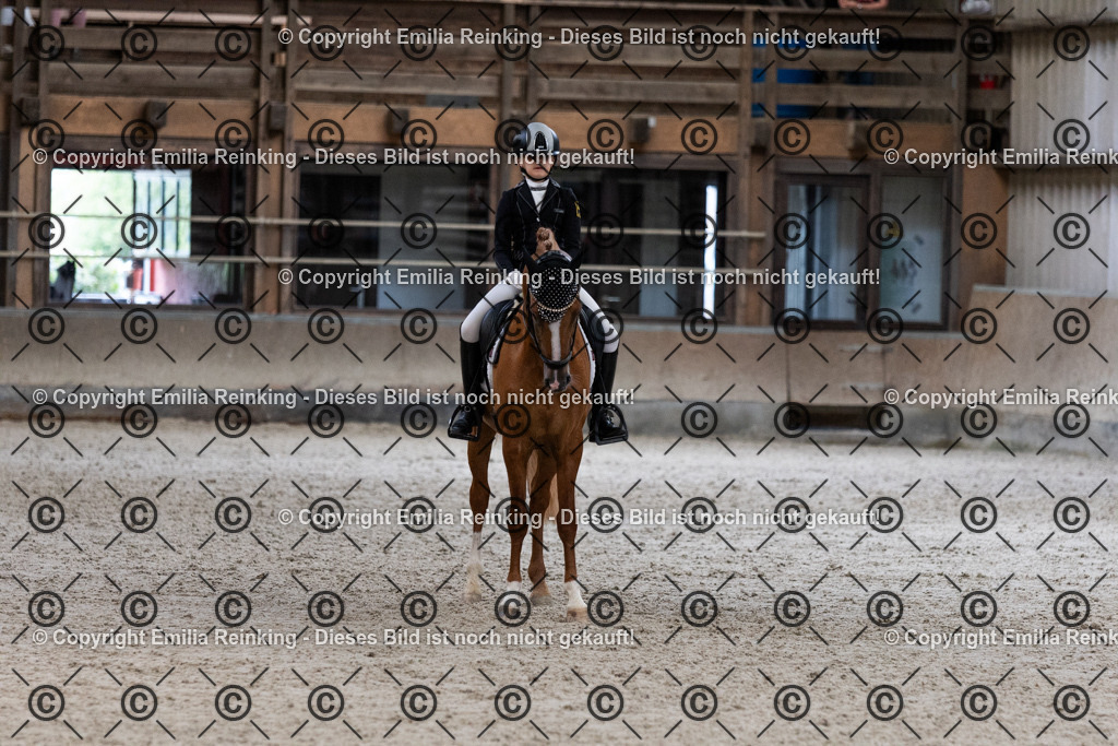 CL5A5205 | Emilia Reinking Fotografie - Realisiert mit Pictrs.com