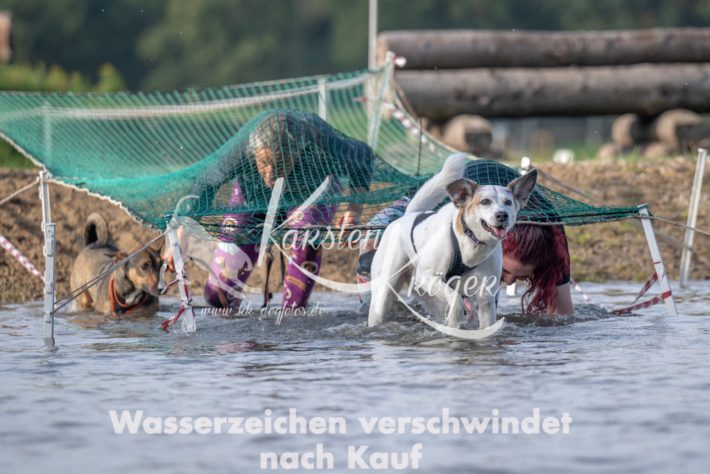 1028_ZZ93581 | kk-dogfotos
