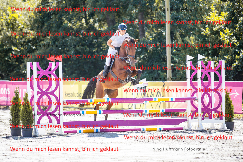 BK1A5216 | Turnierbilder Turnierfotos Nina Hüffmann Turnierfotografie Pferdefotografie Tierzeichnung Haustierzeichnung Pferdezeichnung Hundezeichnung Videograf  - Realisiert mit Pictrs.com