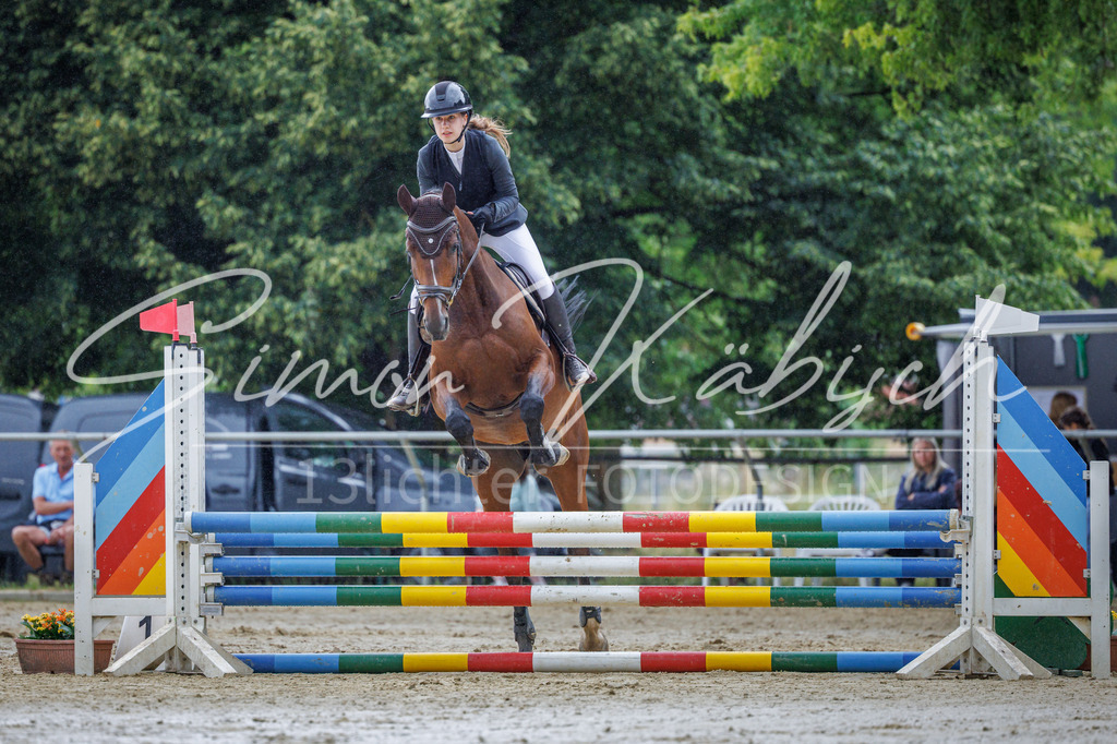 20260705-_3LI3497 | Tierfotografie Pferde, Hunde, Katzen, Haustiere.
Turnierfotografie Reitturniere, Reiten, Springreiten, Dressur in Hanau, dem Main-Kinzig-Kreis und dem Rhein-Main- Gebiet um Frankfurt