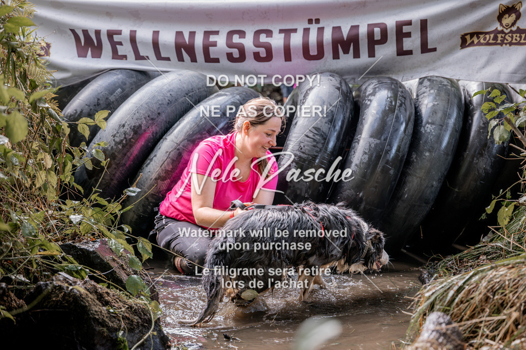 nelerasche_Hunsrück2026_Sa1400-1500_325 | nelerasche